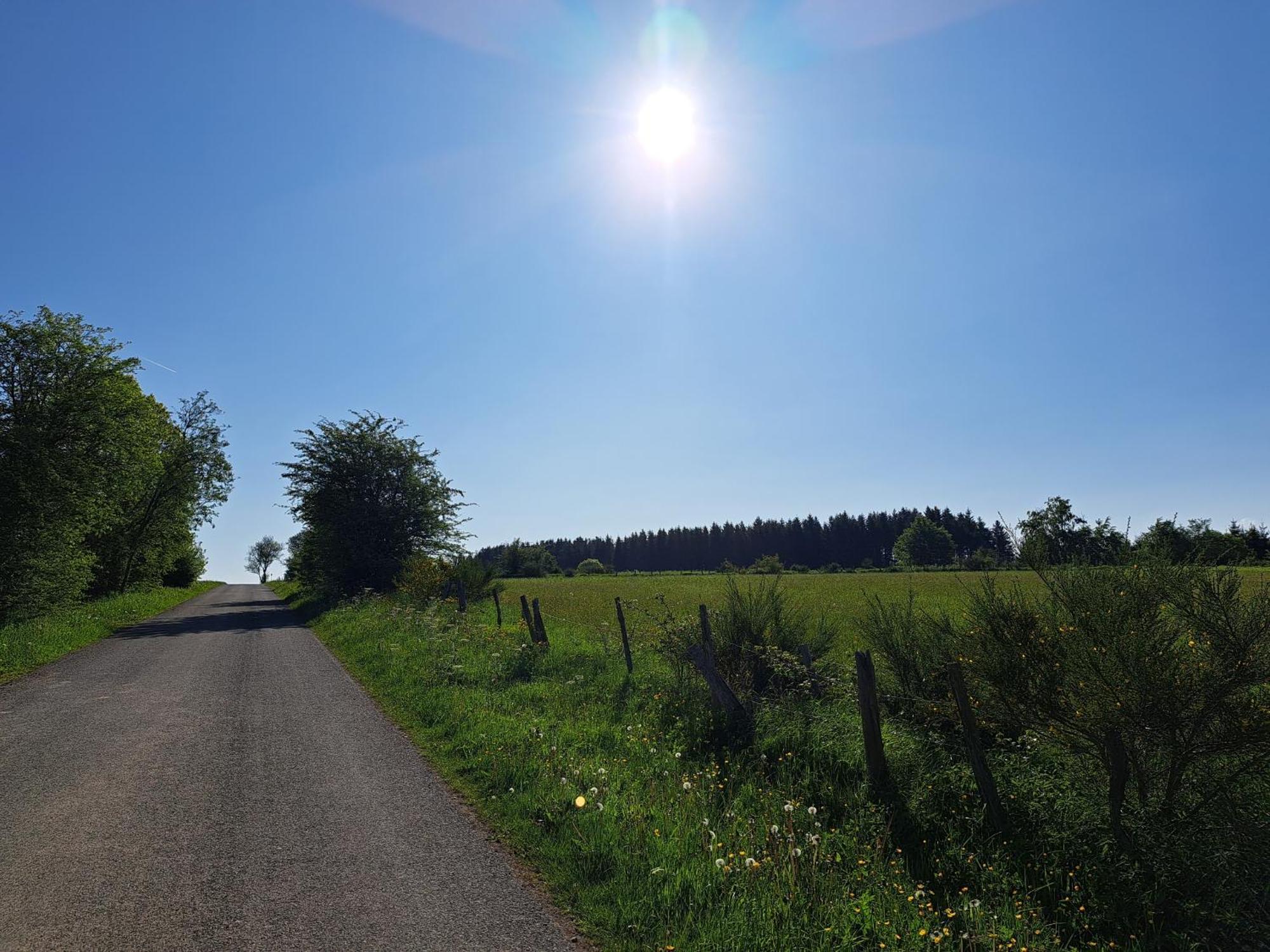 Sur Les Hauteurs La-Roche-en-Ardenne Room photo